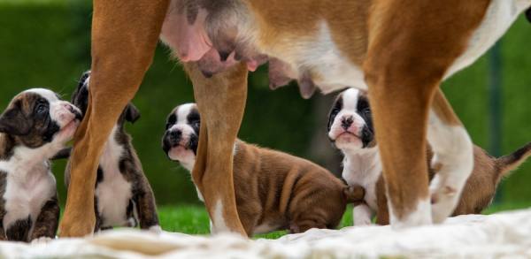 Photograph Gert Van Den Bosch Milkbar Just Out Of Reach on One Eyeland